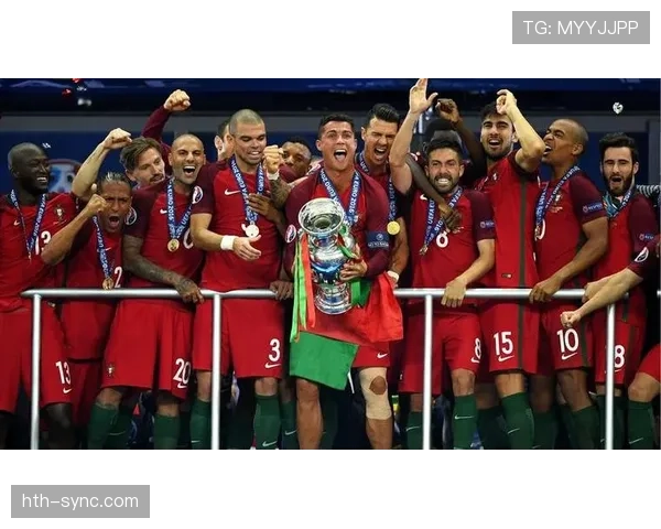 回顾欧洲杯：历届主办国的高光时刻与赛场表现引人瞩目